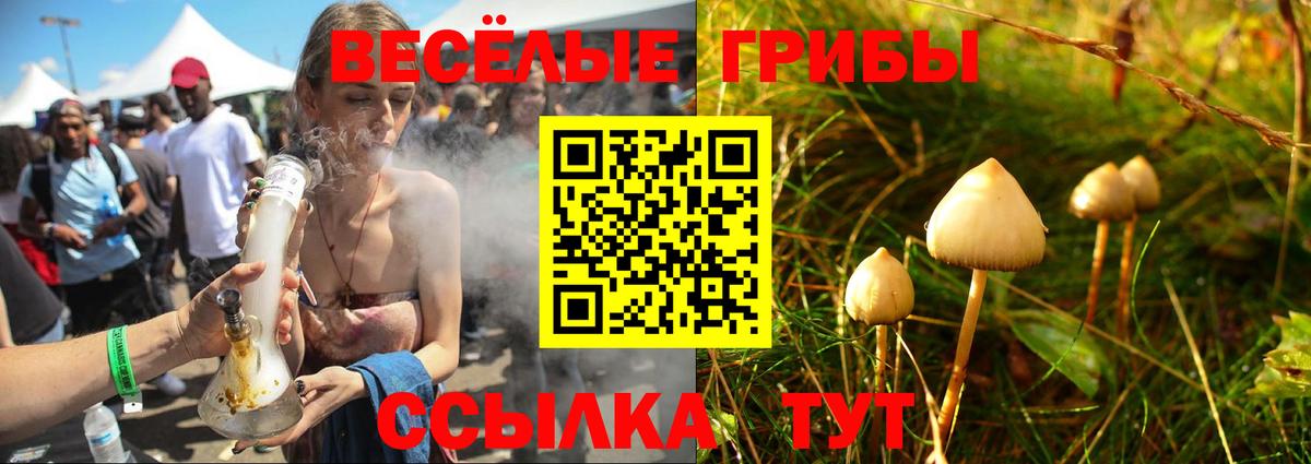 купить   Галлюциногенные грибы MAGIC MUSHROOMS  Галлюциногенные грибы MAGIC MUSHROOMS  Вход с VPN  Вязники 