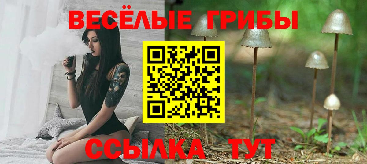 Галлюциногенные грибы Psilocybine cubensis Вязники